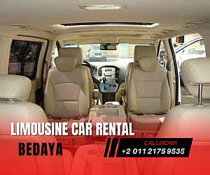 Ad Photo: Hyundai H1 car rental for businessmen in Egypt