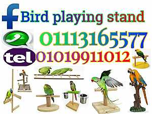 صورة الاعلان: Parrot Stand tree wood استاند ببغاوات و طيور زينة - في القاهرة مصر